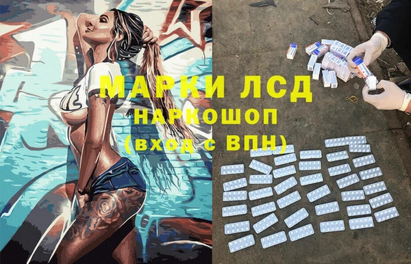 стафф Михайловск