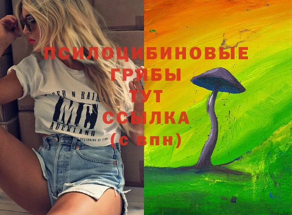стафф Михайловск
