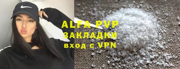 стафф Михайловск