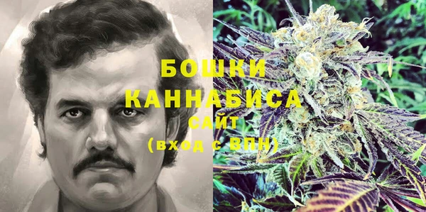 гашик Михайловка