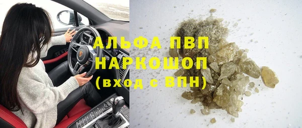 стафф Михайловск
